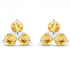 Sterling Silver 0.60 CTW
Sapphire Designer Stud
Earrings